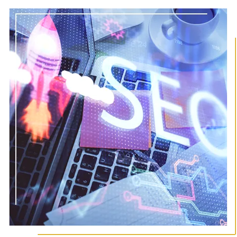 cms-seo